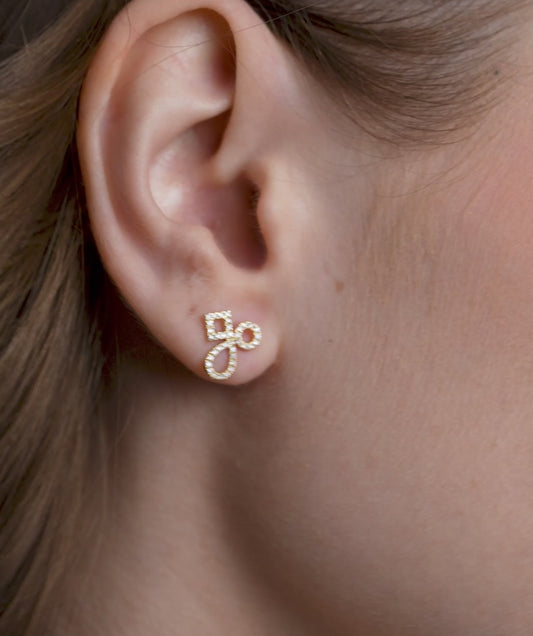 Chic Interlace Diamond Earrings